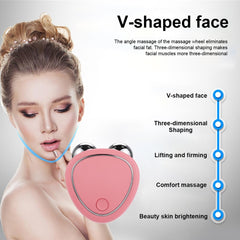 Portable Facial 