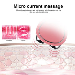 Double Roller Massager